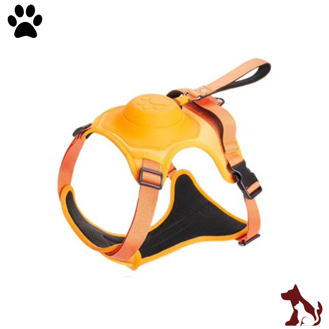 Harnais rétractable : Le Paw freedom