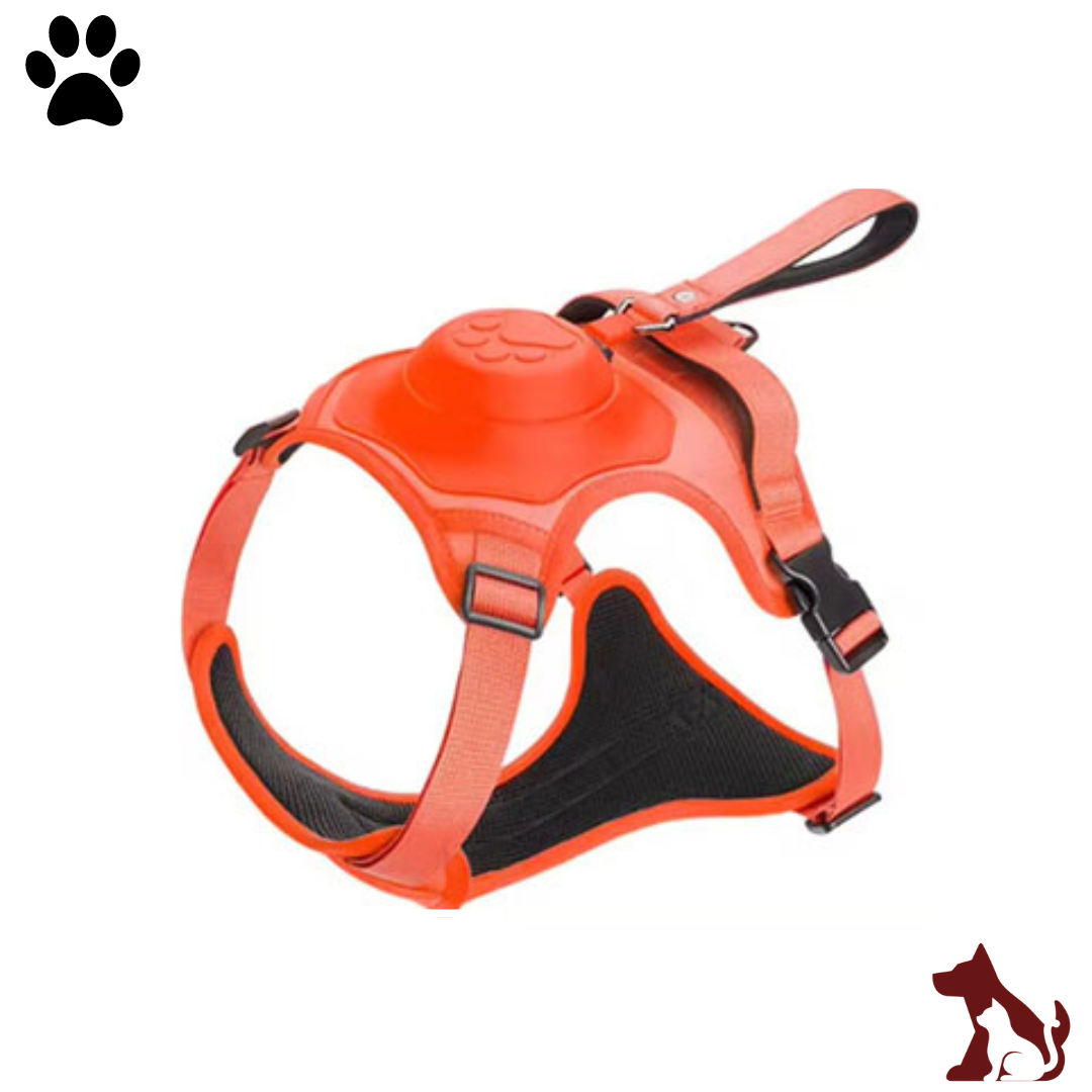 Harnais rétractable : Le Paw freedom
