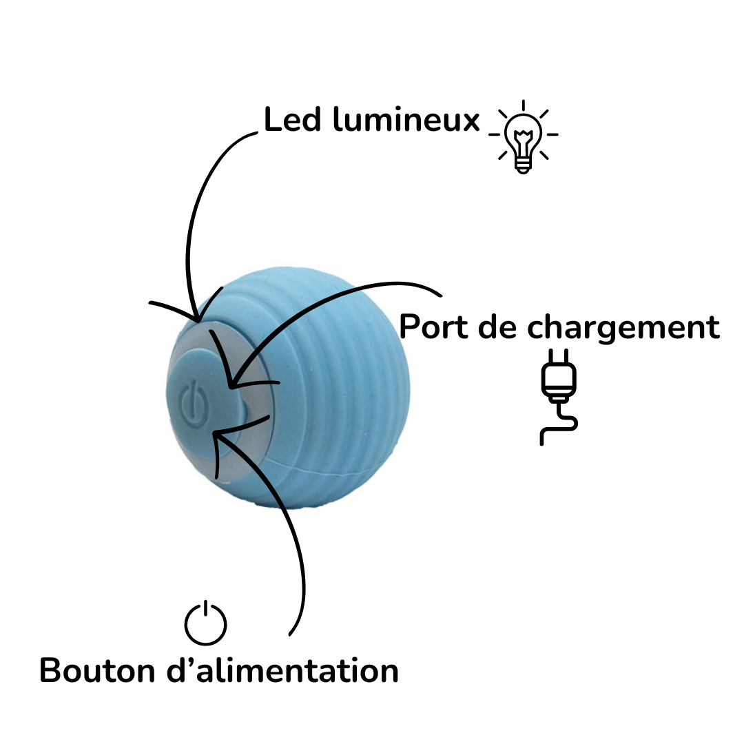 La Magic Ball