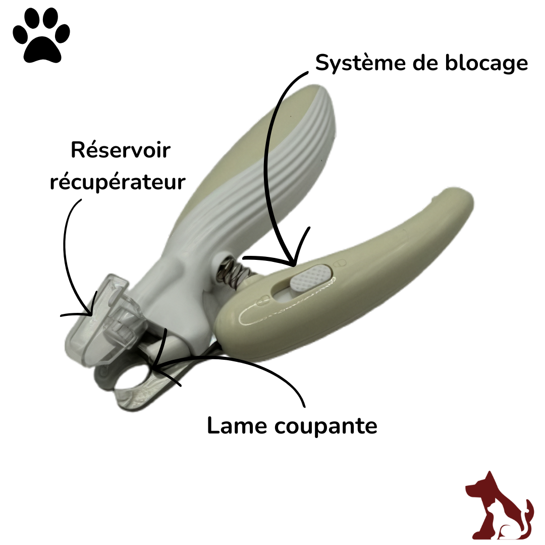 Le LumiClip