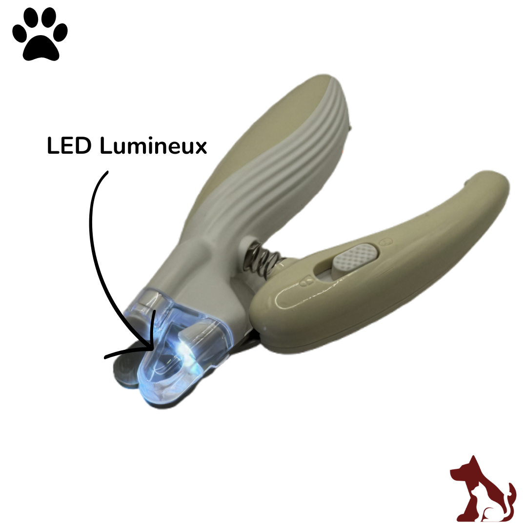 Le LumiClip